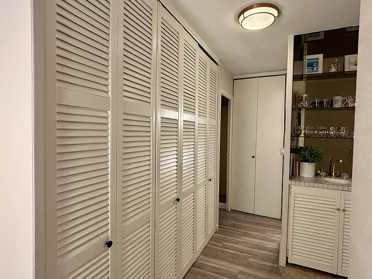 Pantry, hall closets, wet bar