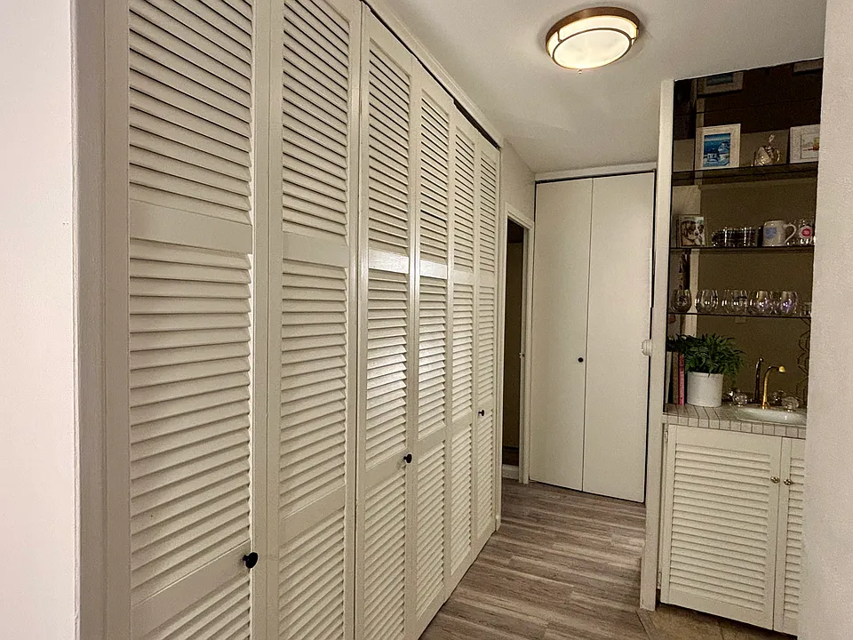 Pantry, hall closets, wet bar