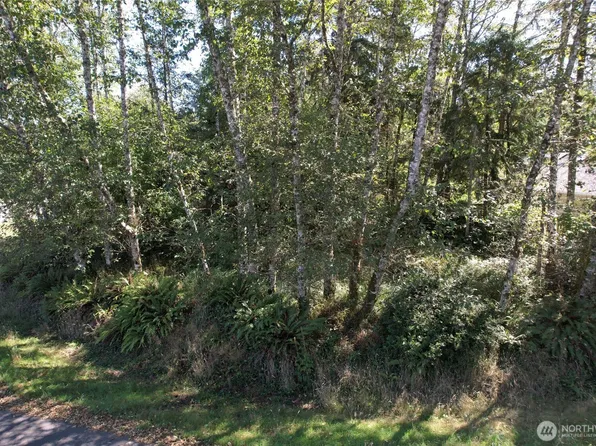 768 Sandpiper Court SE, Ocean Shores, WA 98569