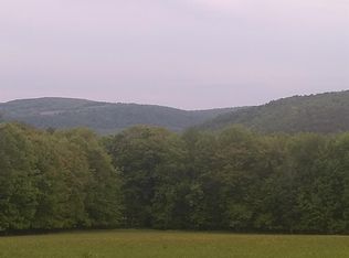 White Hill Rd, Oneonta, NY 13820