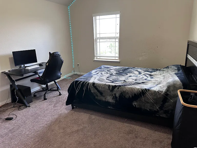 912 Foxtail Dr — Photo 29