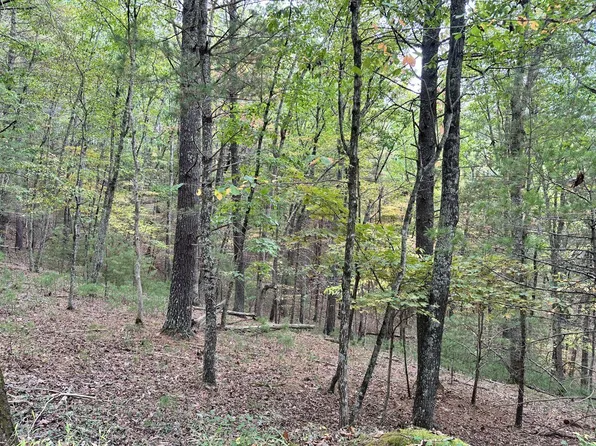 0 Zenith Rd, Union, WV 24983