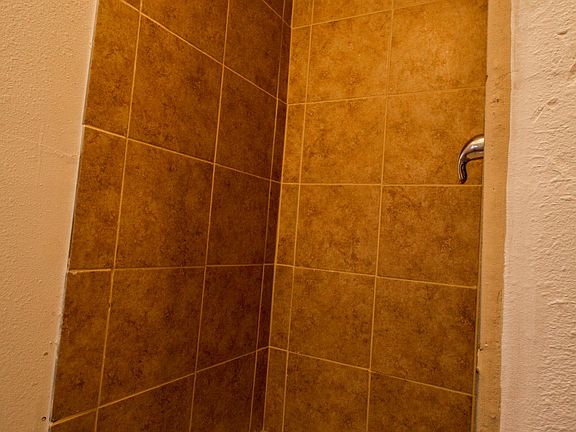 4th image of 342 Vine St #1