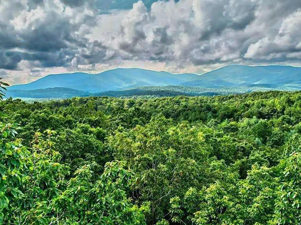Rainbow Rdg, Ellijay, GA 30540