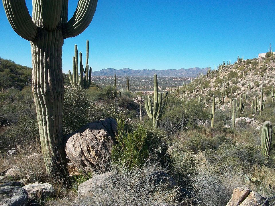 2nd image of 2356 E Buck Ridge Pl #64