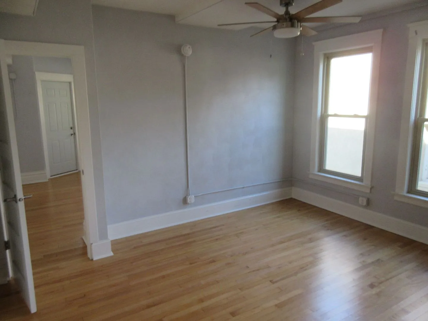 446 — Photo 4