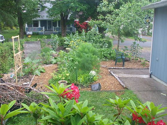 summer garden