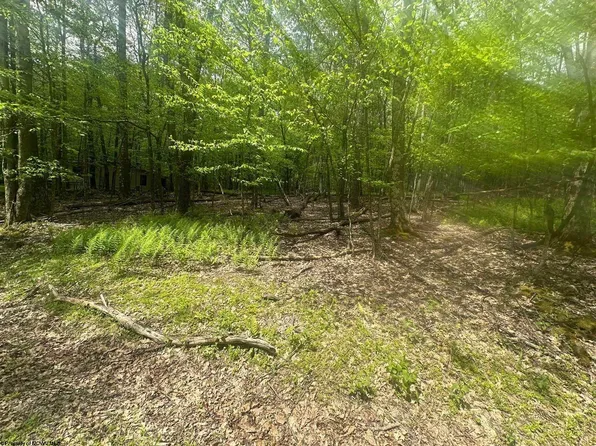 197 Woodbine Dr, Terra Alta, WV 26764