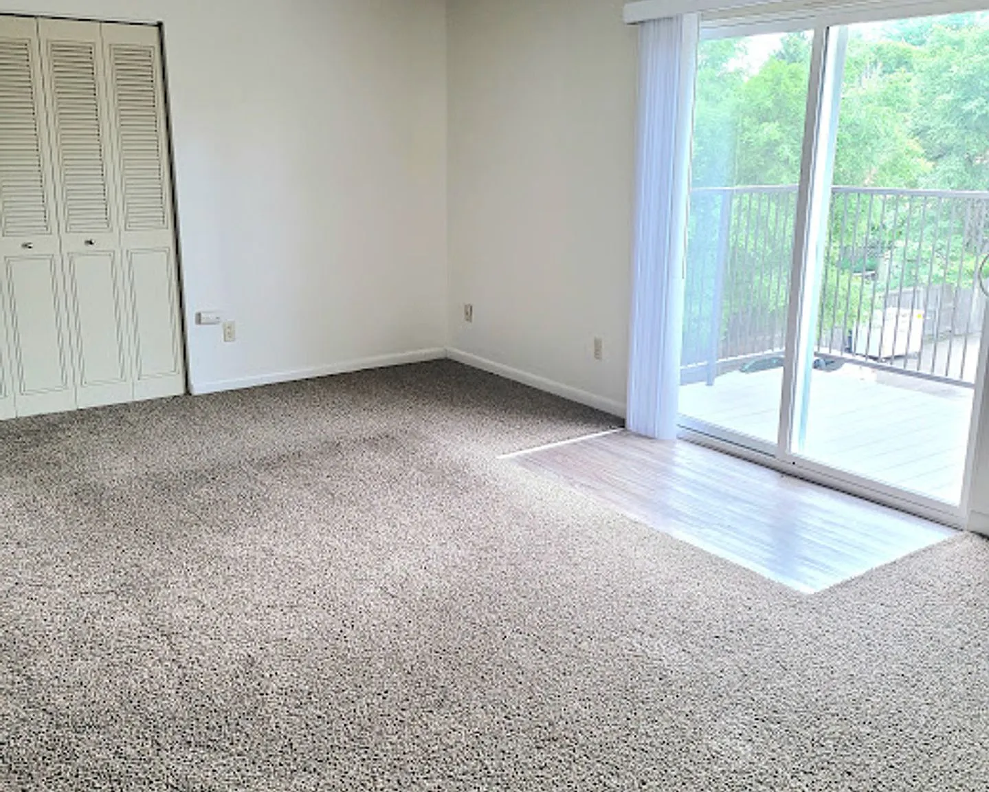 Executive Plaza Apartments | Spacious 2BR with Private Patio in Central Greeley — Photo 2
