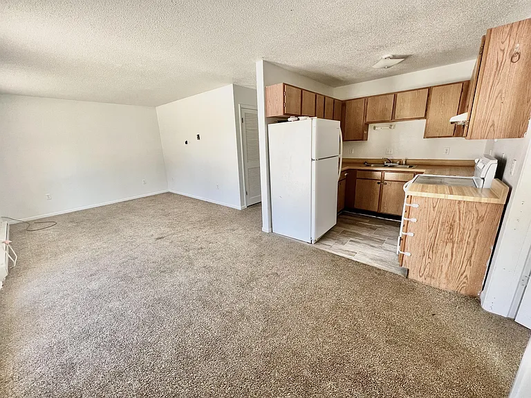 709 E Woodland St — Photo 16