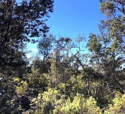 4th image of 92-1870 Sea Breeze Pkwy Lot 2-B