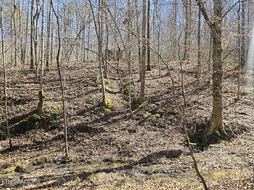 1st image of 0 Straight Fork Rd