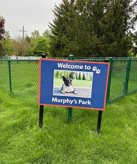 Our country club for dogs is right here for you. Because luxury's a way of life no matter who you are when you live here. Even if you bark.