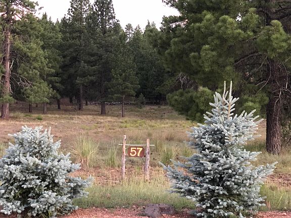 3rd image of 148 W Clay Park Way #57
