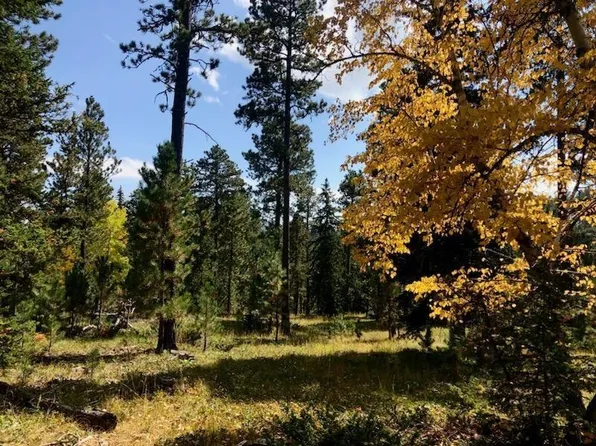 Springwood Ct, Lead, SD 57754