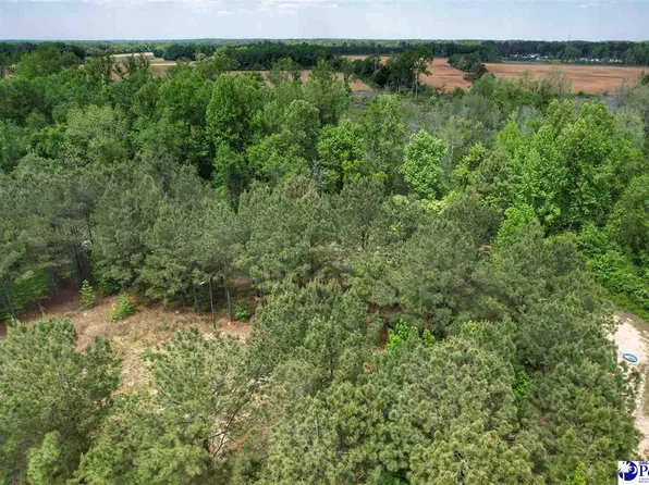 Zachary Ct, Latta, SC 29565