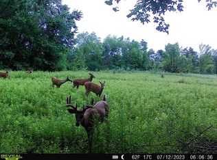 5000 Wisner Hwy, Adrian, MI 49221