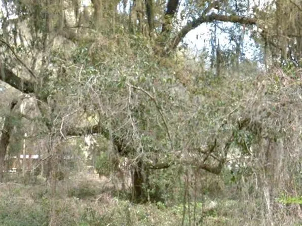 0 NE 192nd Pl, Citra, FL 32113