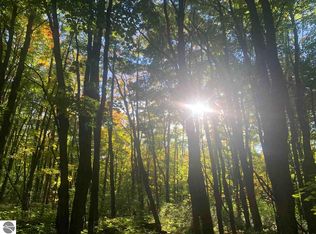 S Benzonia Trl, Empire, MI 49630