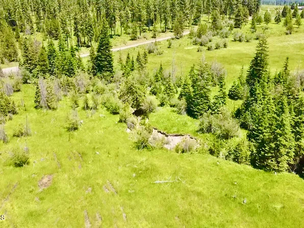 36 Green Valley Rd, Fernwood, ID 83830