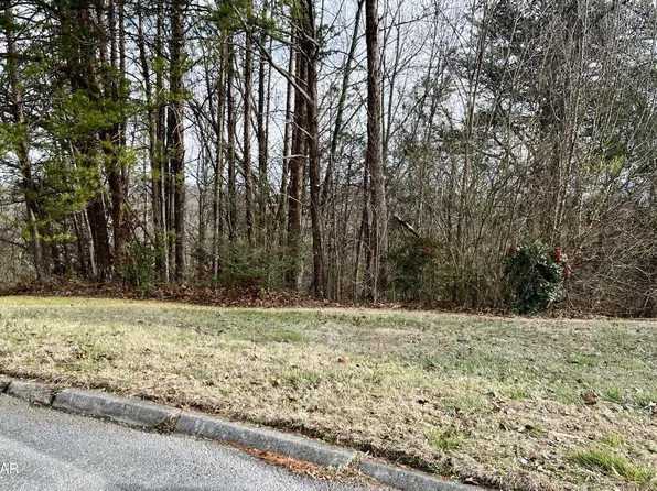 26 Blue Dun Ct Lot 26, Pigeon Forge, TN 37863