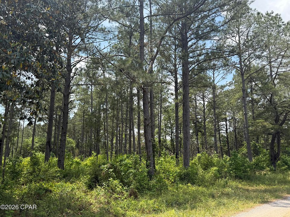 2nd image of 0 Parrish Still Rd