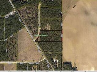 160 NE Carnation Way, Lee, FL 32059