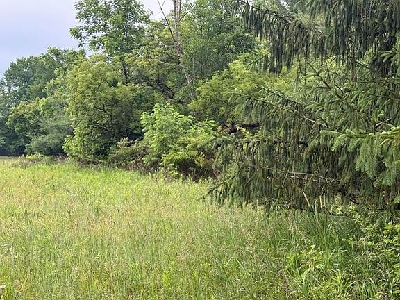 3rd image of 7628 Marble Rd N