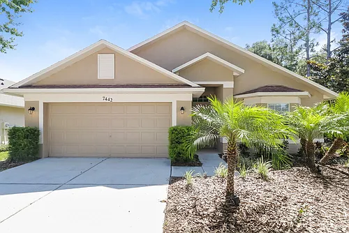 7442 Citrus Blossom Dr Photo 1