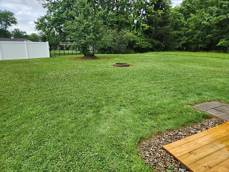 Back yard and fire pit