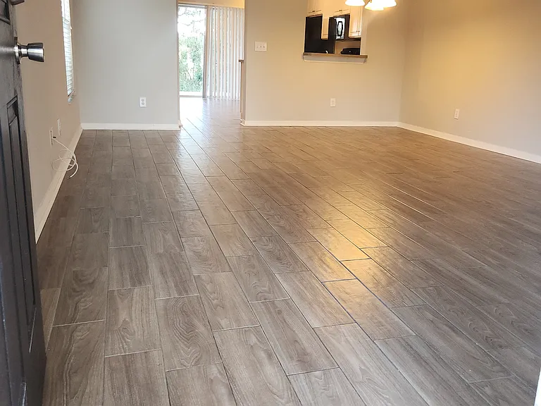 15702 Fishhawk Falls Dr — Photo 4