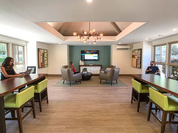 The Shadows