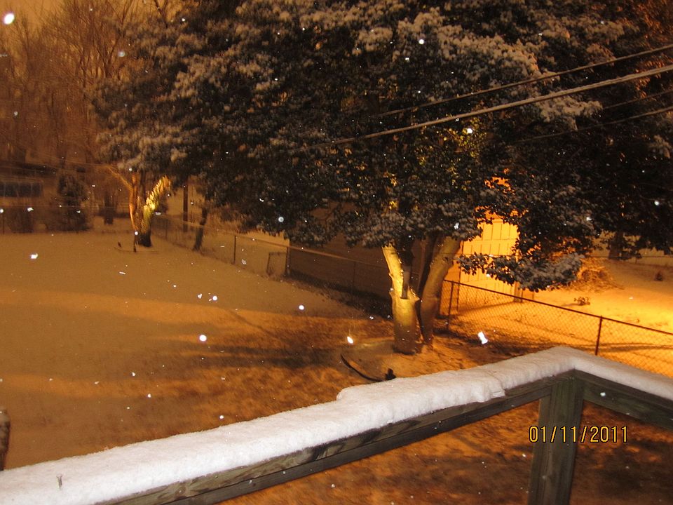 backyard in snow