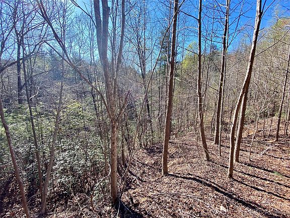 3rd image of 96 Winghaven Dr Lot 42