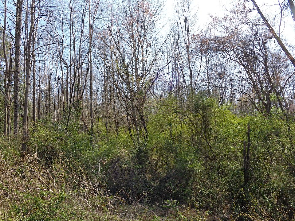 2nd image of 0 Hall Rd #4