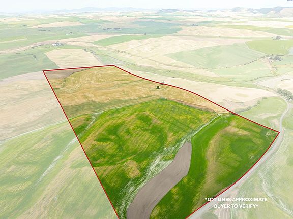 5th image of Bongarts Rd