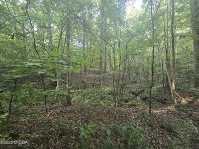 8 Pine Grove Church Rd, Culloden, GA, 31016