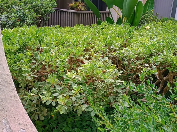 8604 Via Mallorca APT J, La Jolla, CA 92037