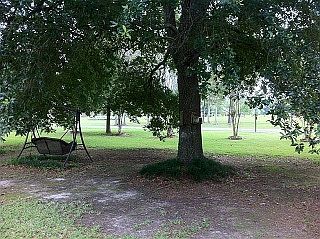 2nd image of 533 Suzie Dr