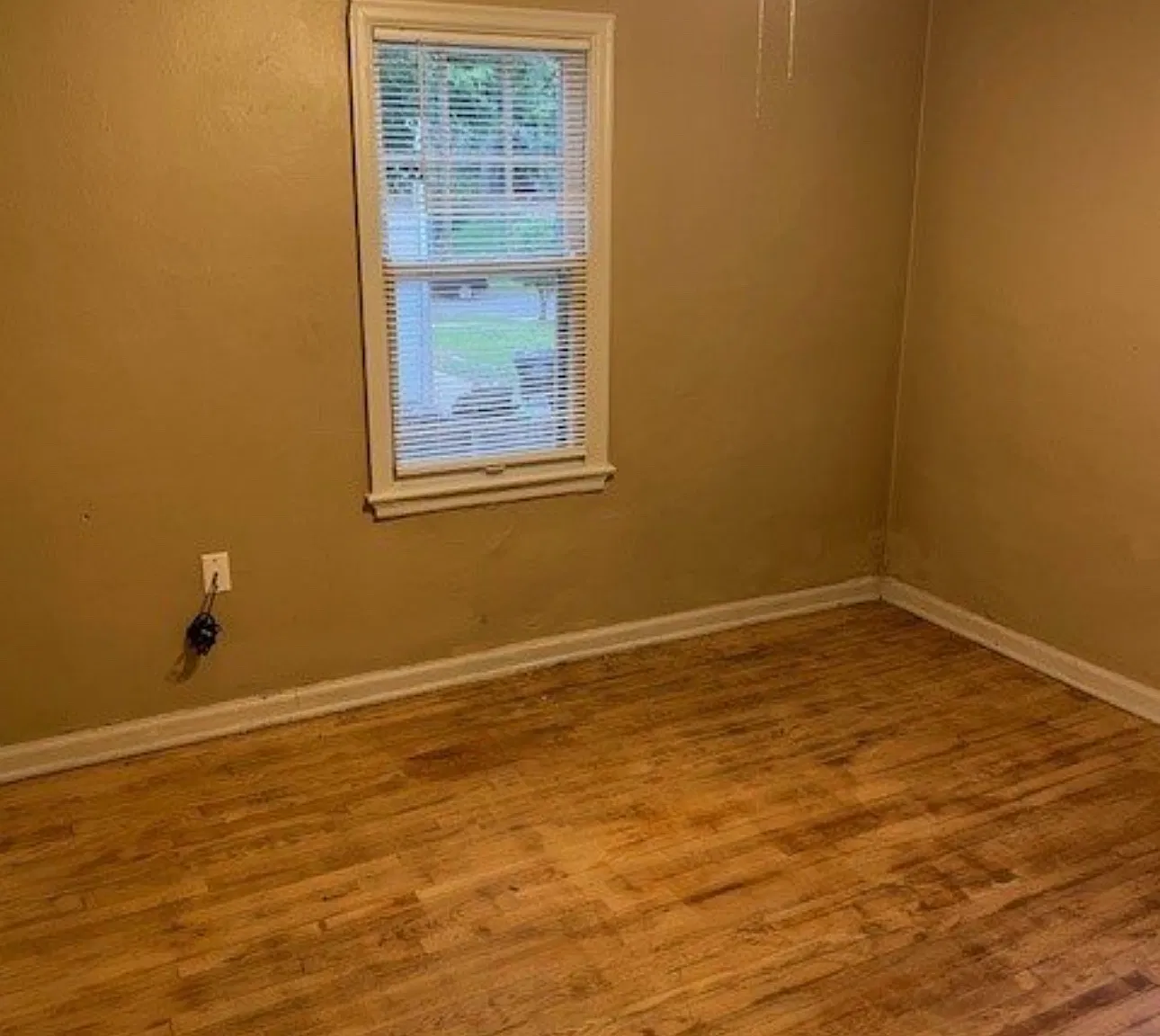 1 bed, 1088 sqft, $900 — Photo 4