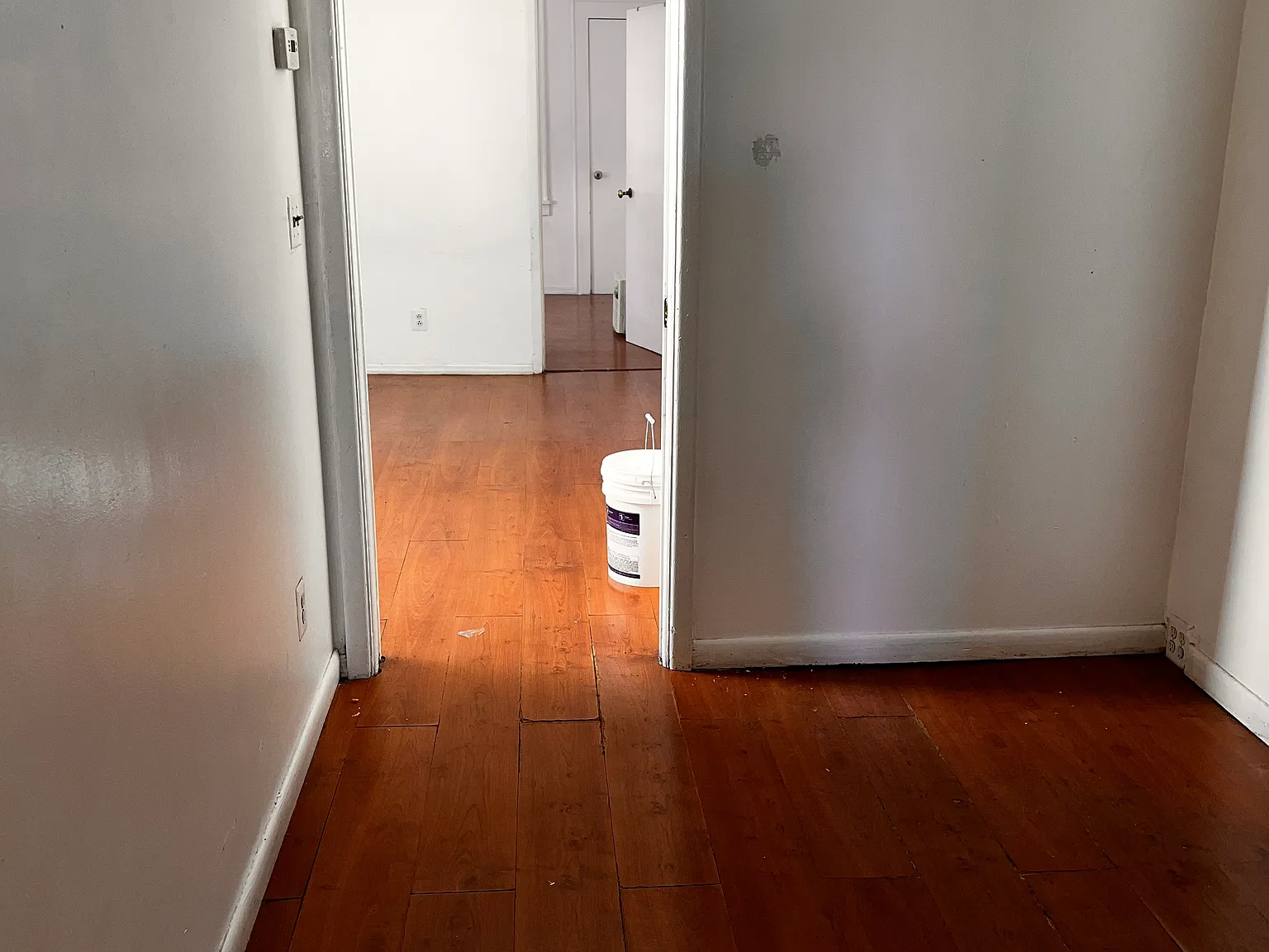 1 bed, 800 sqft, $1,800 — Photo 2