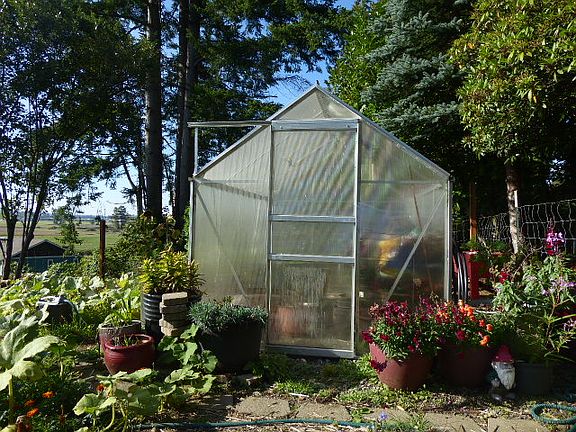Green house in fenced garden