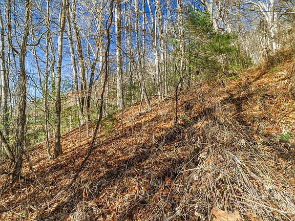 3rd image of 0 Briarwood Rd