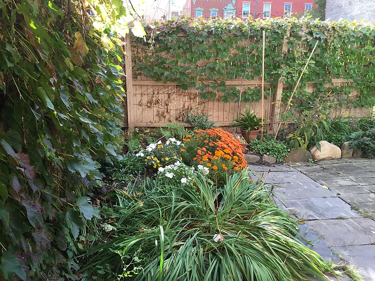 146 Jay St #1F — Photo 15