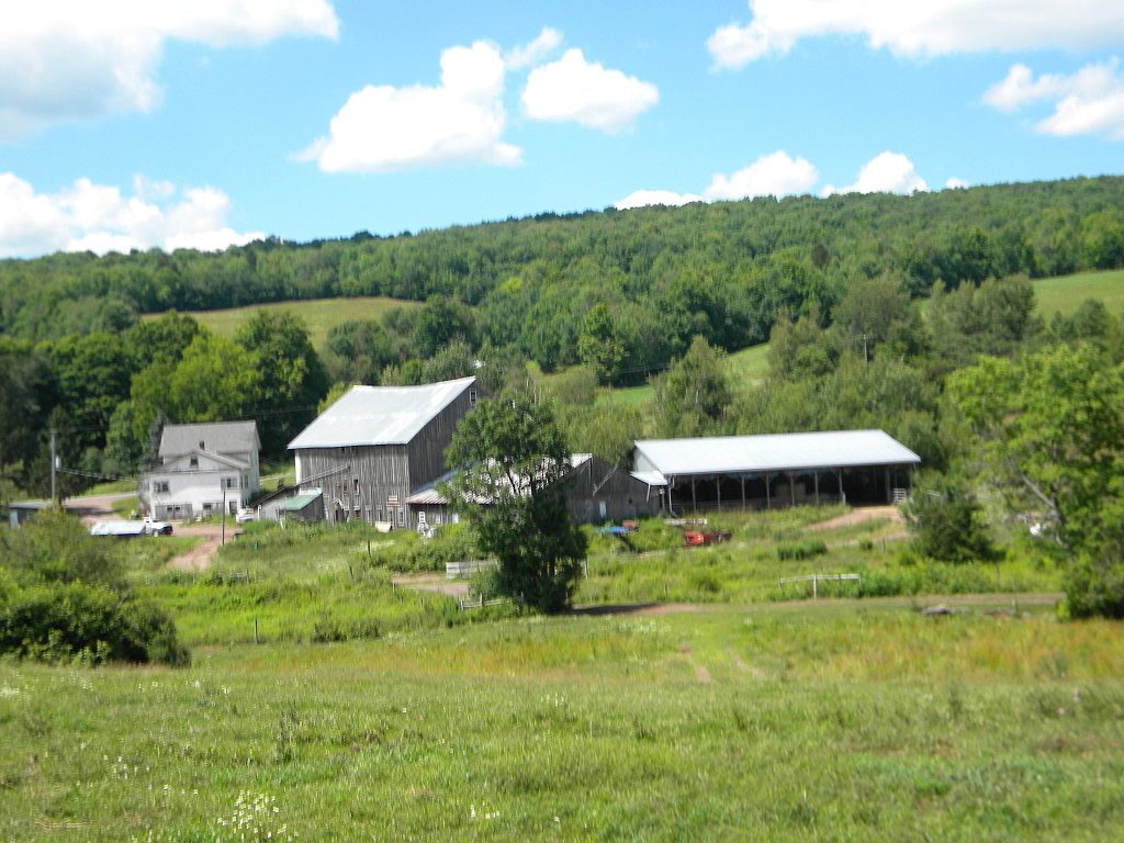 834 Crescent Valley Rd, Bovina Center, NY 13740 Zillow