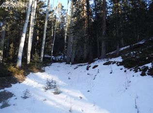 3245 N Mountain Estates Rd, Florissant, CO 80816
