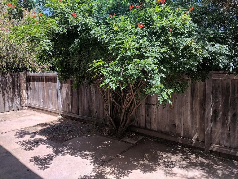77 N San Marcos Rd #B — Photo 8