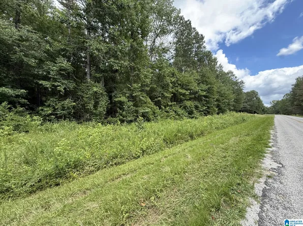 Tracts 1 & 2 County Rd #103, Woodland, AL 36280