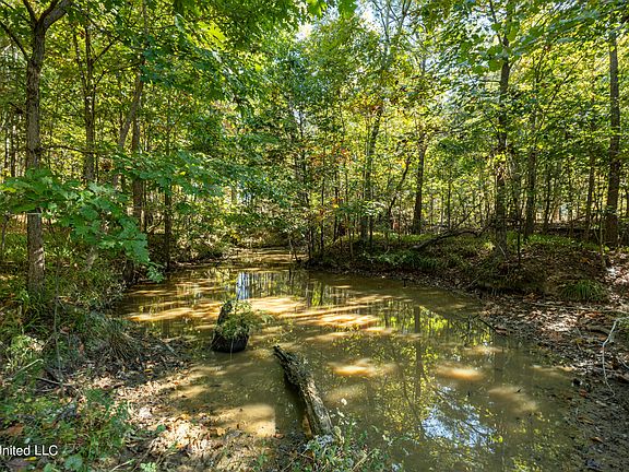 4th image of Swan Lake Dr Lot 94