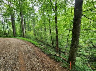 2B Poplar Dr, Suches, GA 30572